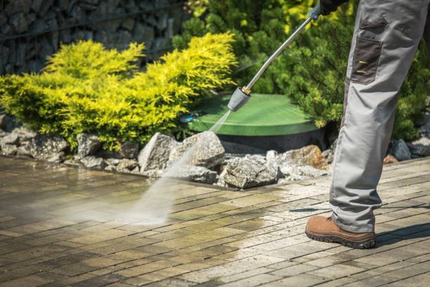 Playground Equipment Cleaning in Floral City, FL